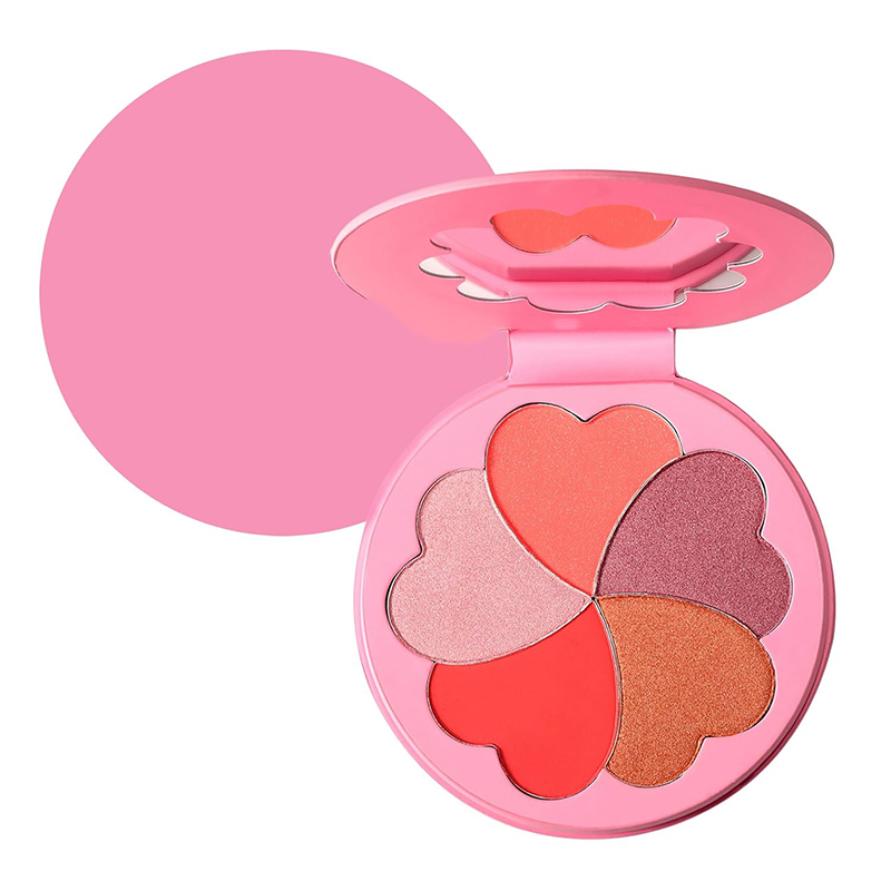 OEM for makeup high-gloss blush palette